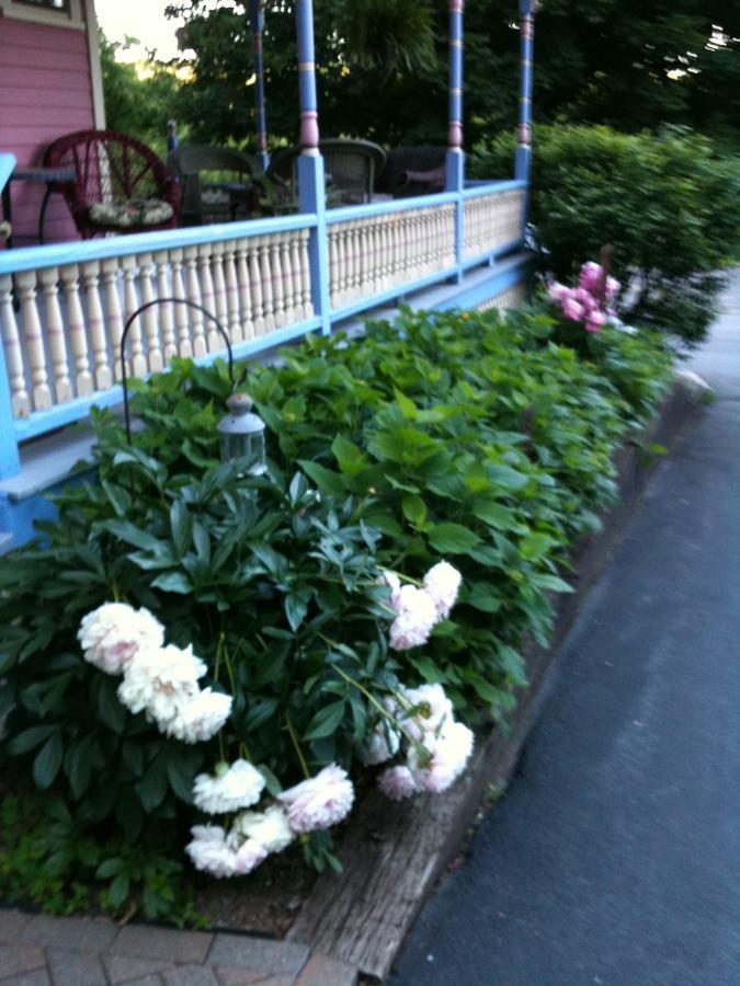 Rose & Thistle Bed & Breakfast クーパーズタウン エクステリア 写真